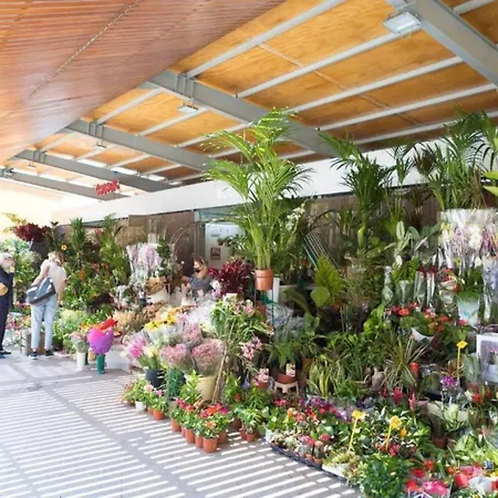 Moonkey - El Mercado Alicante